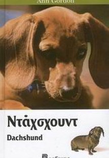 Ντάχσχουντ