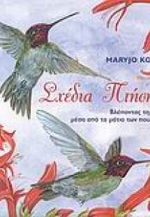 Σχέδια πτήσης