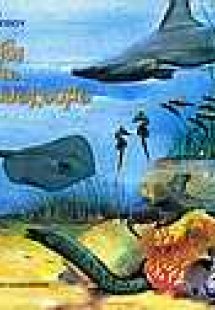 Ταξίδι στο θαλασσόκοσμο