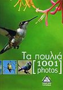 Τα πουλιά [1001 photos]