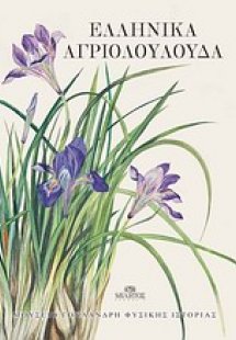 Ελληνικά αγριολούλουδα