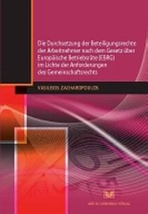 Die Durchsetzung der Beteiligungsrechte der Arbeitnehme...
