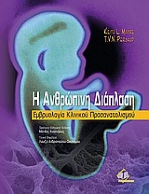 Η ανθρώπινη διάπλαση