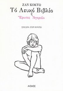 Το λευκό βιβλίο ή Έρωτες αγοριών