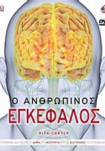 Ο ανθρώπινος εγκέφαλος