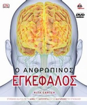 Ο ανθρώπινος εγκέφαλος