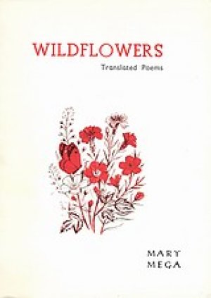 Wildflowers