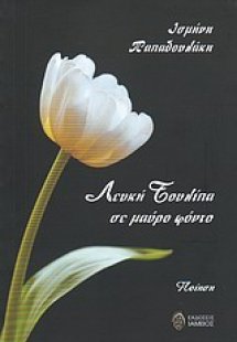 Λευκή τουλίπα σε μαύρο φόντο