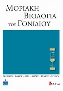 Μοριακή βιολογία του γονιδίου