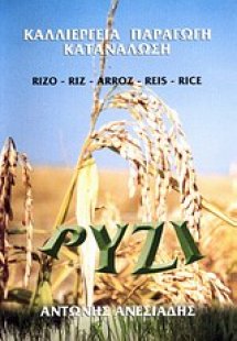 Ρύζι