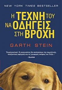 Η τέχνη του να οδηγείς στη βροχή