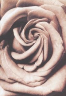 Η πρωτοχρονιά του