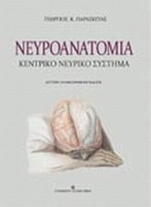 Νευροανατομία