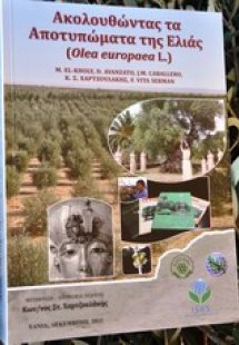Ακολουθώντας τα αποτυπώματα της ελιάς