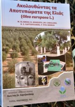Ακολουθώντας τα αποτυπώματα της ελιάς