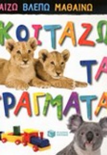 Κοιτάζω τα πράγματα