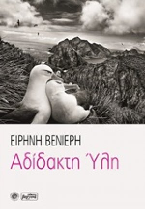 Αδίστακτη ύλη