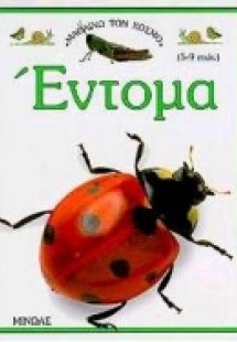 Έντομα