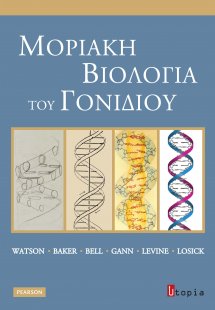Μοριακή βιολογία του γονιδίου