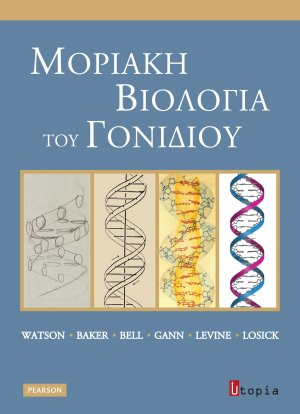 Μοριακή βιολογία του γονιδίου