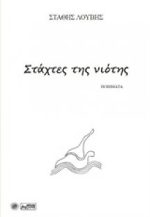 Στάχτες της νιότης