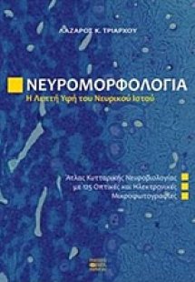 Νευρομορφολογία, Η λεπτή υφή του νευρικού ιστού