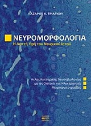 Νευρομορφολογία, Η λεπτή υφή του νευρικού ιστού