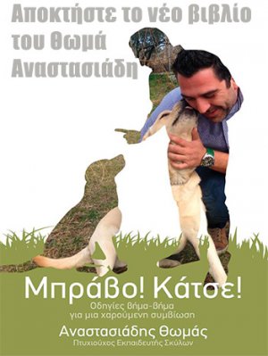 Μπράβο! Κάτσε!