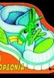 Τα κορδόνια