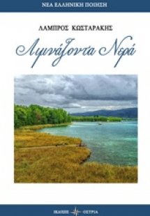 Λιμνάζοντα νερά