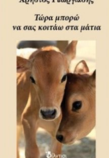 Τώρα μπορώ να σας κοιτάω στα μάτια