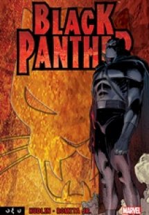 Black Panther: Ποιος είναι ο Μαύρος Πάνθηρας;