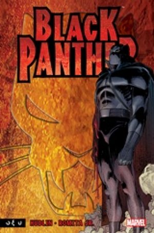Black Panther: Ποιος είναι ο Μαύρος Πάνθηρας;