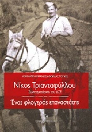 Νίκος Τριανταφύλλου, Συνταγματάρχης του ΔΣΕ