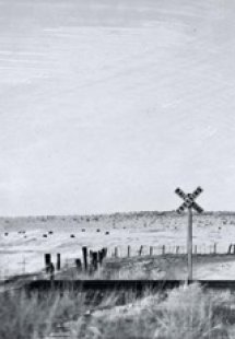 Οι άγριοι ντετέκτιβ