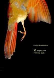 55 τετραγωνικά ενήλικης ζωής