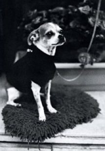 Ένα πεινασμένο στόμα