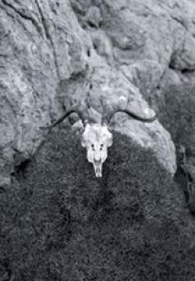 Η γιορτή του τράγου