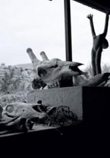 Ο συντηρητής