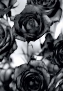 Όπως ήθελα να ζήσω