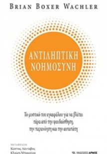 Αντιληπτική νοημοσύνη