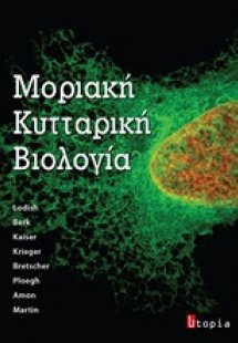 Μοριακή κυτταρική βιολογία