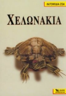 Χελωνάκια