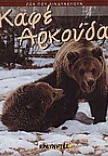 Καφέ αρκούδα