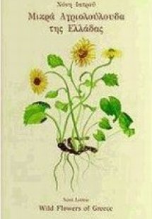 Μικρά αγριολούλουδα της Ελλάδας