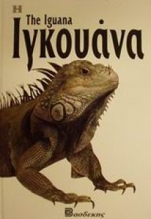 Η Ιγκουάνα
