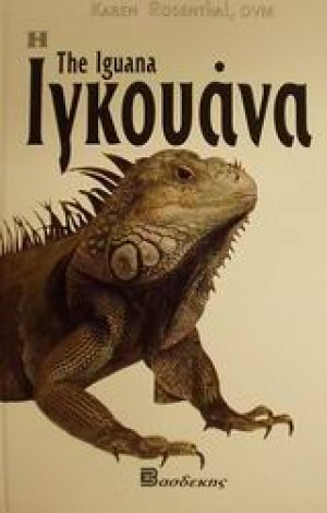 Η Ιγκουάνα