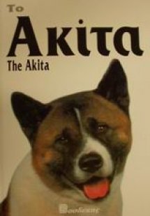 Το Ακίτα