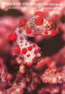 Realm of the Pygmy Seahorse