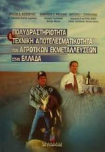 Πολυδραστηριότητα και τεχνική αποτελεσματικότητα των αγ...